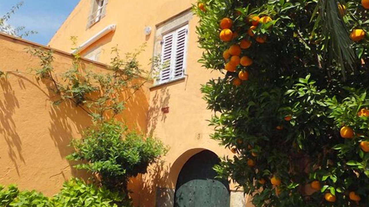 Photo of Outdoor in Pau