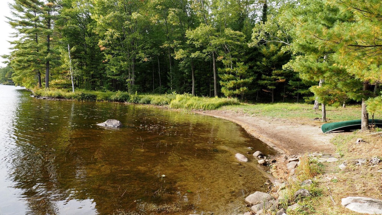 Photo of Others in Gravenhurst