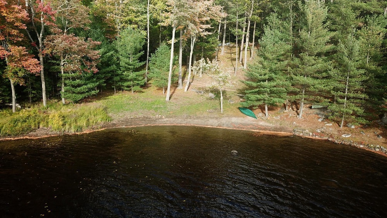 Photo of Others in Gravenhurst