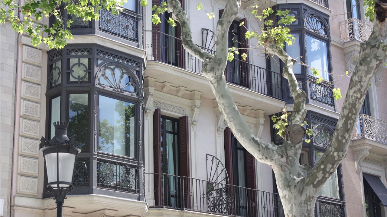 Photo of Outdoor in Eixample
