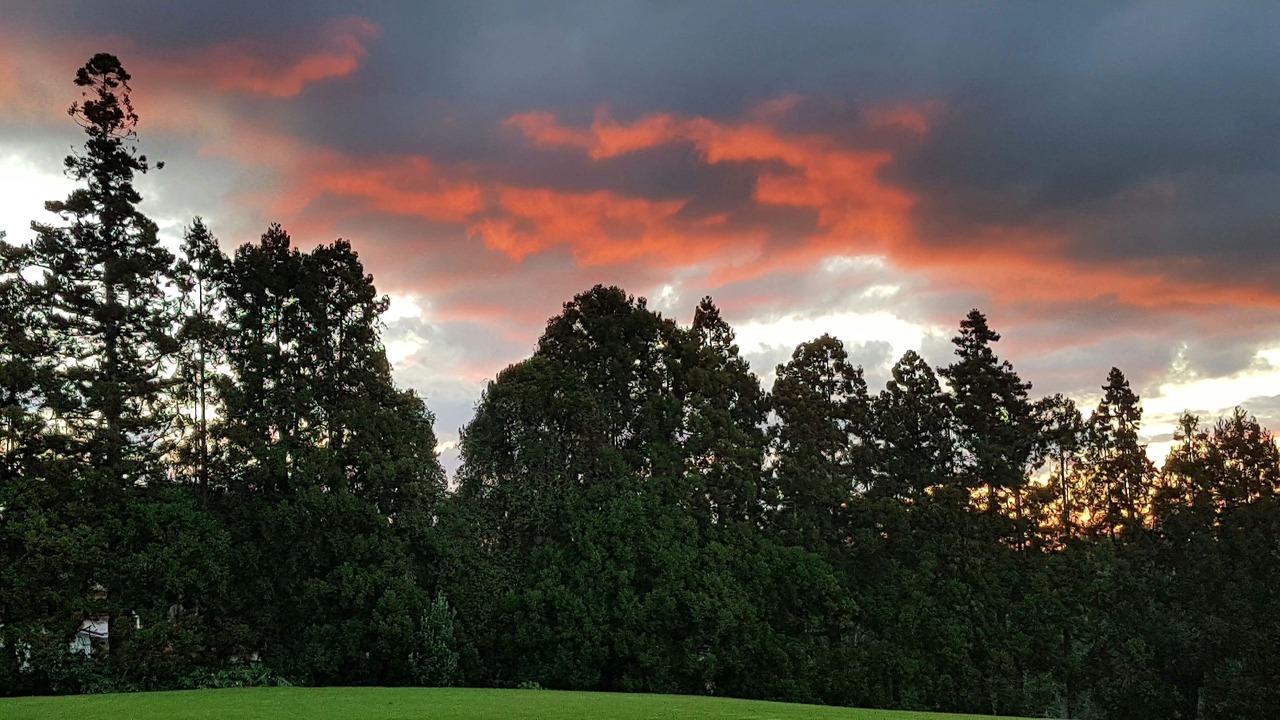 Photo of Outdoor in Kerikeri