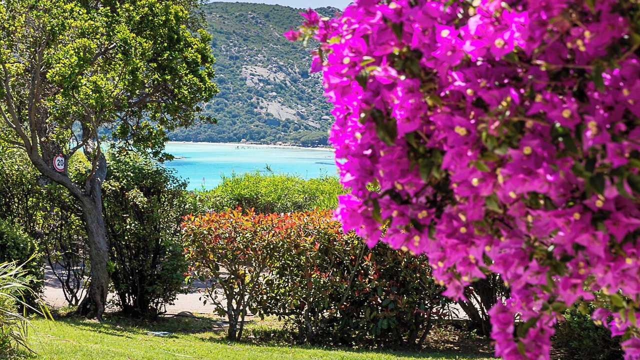 Photo of Others in Santa Giulia