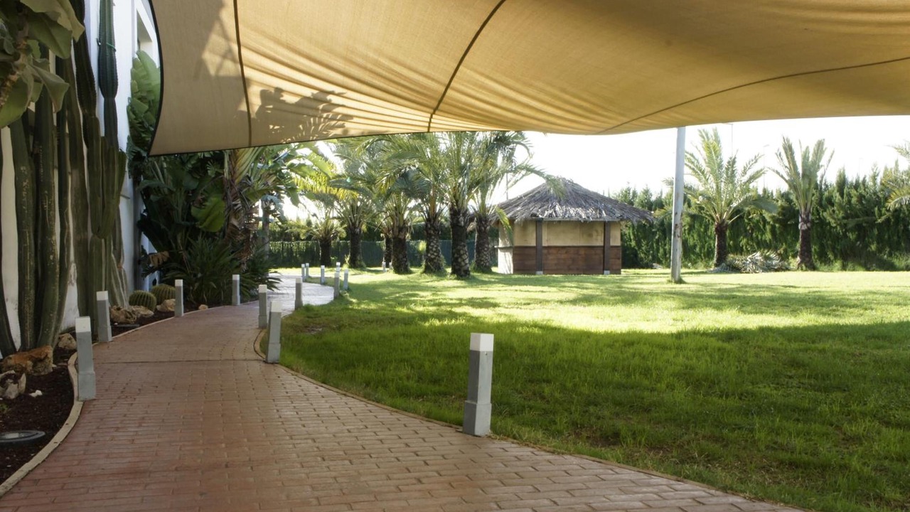 Photo of Outdoor in Oliva