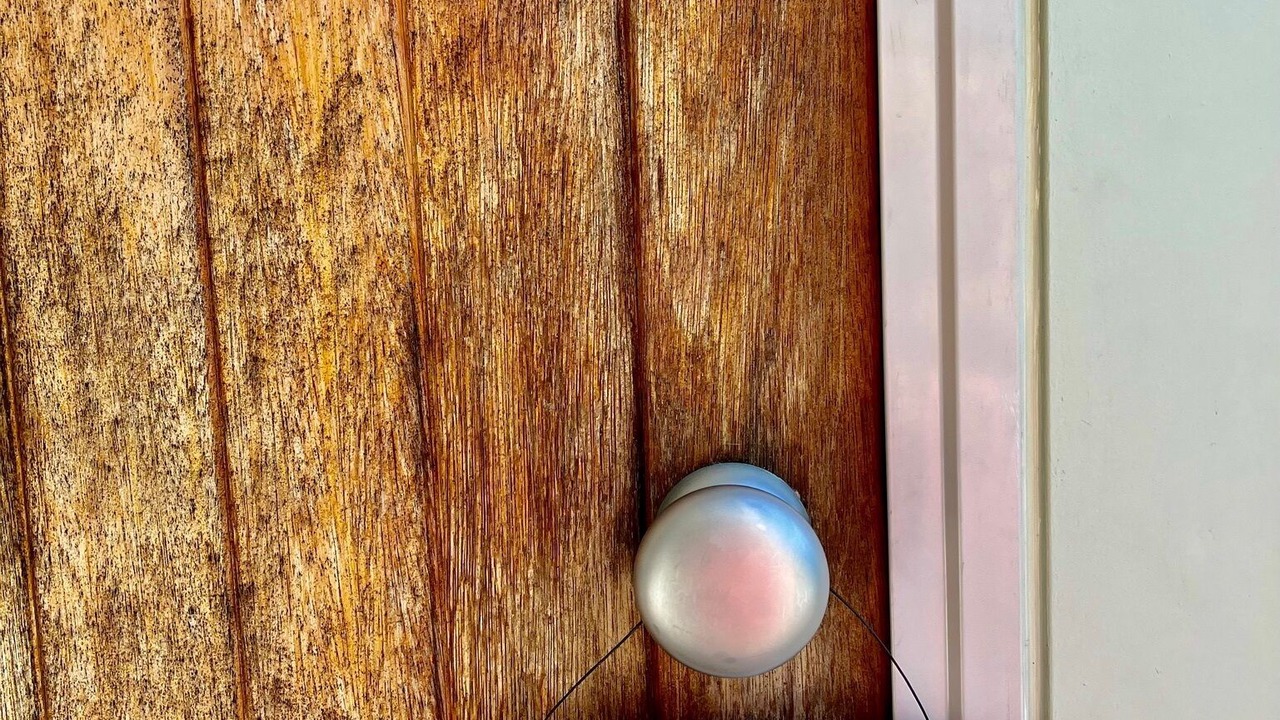 Photo of Outdoor in Oneroa