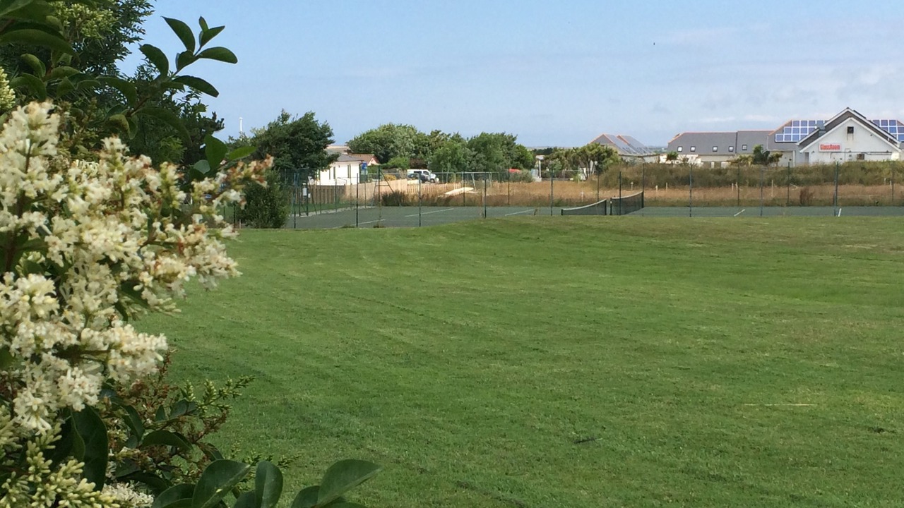 Photo of Others in Padstow