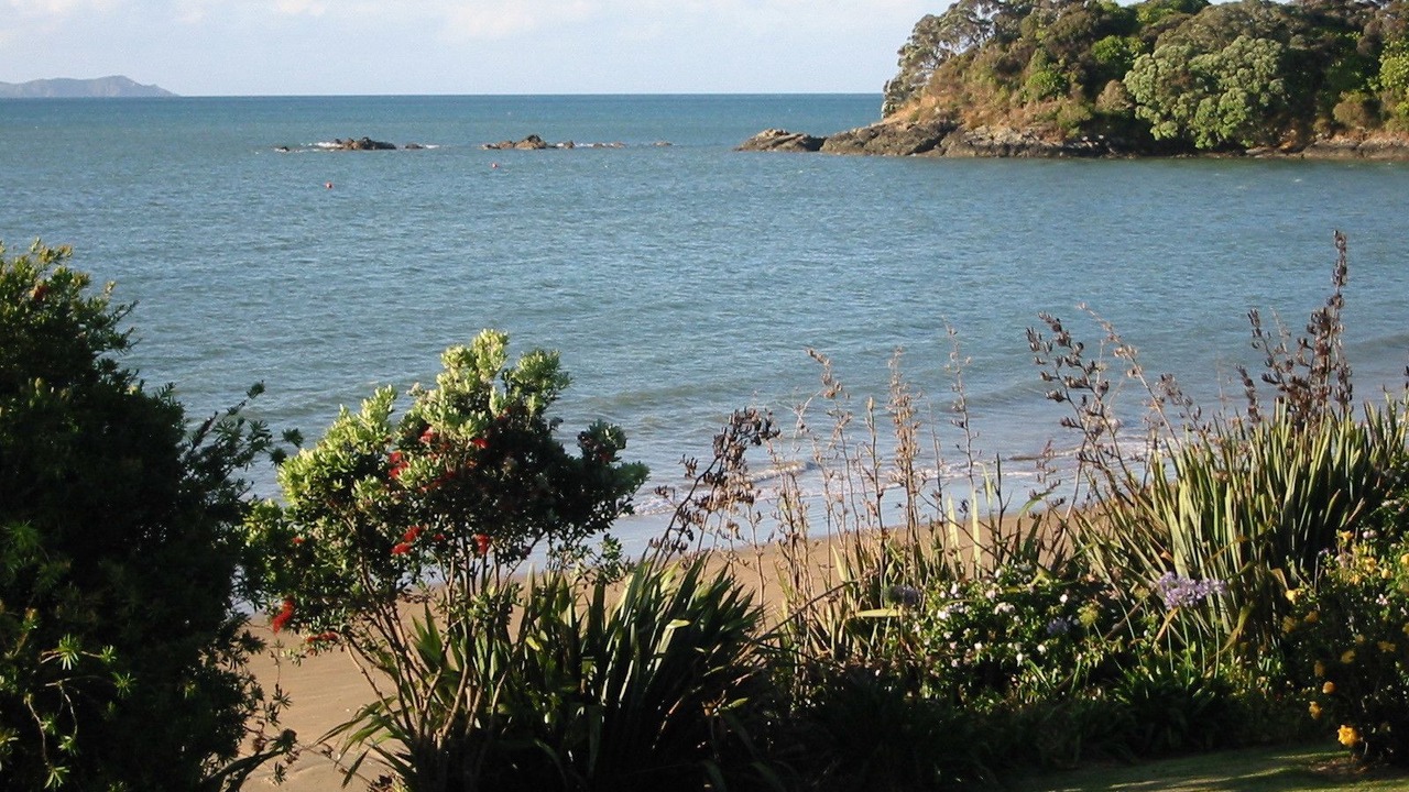 Photo of Others in Coopers Beach