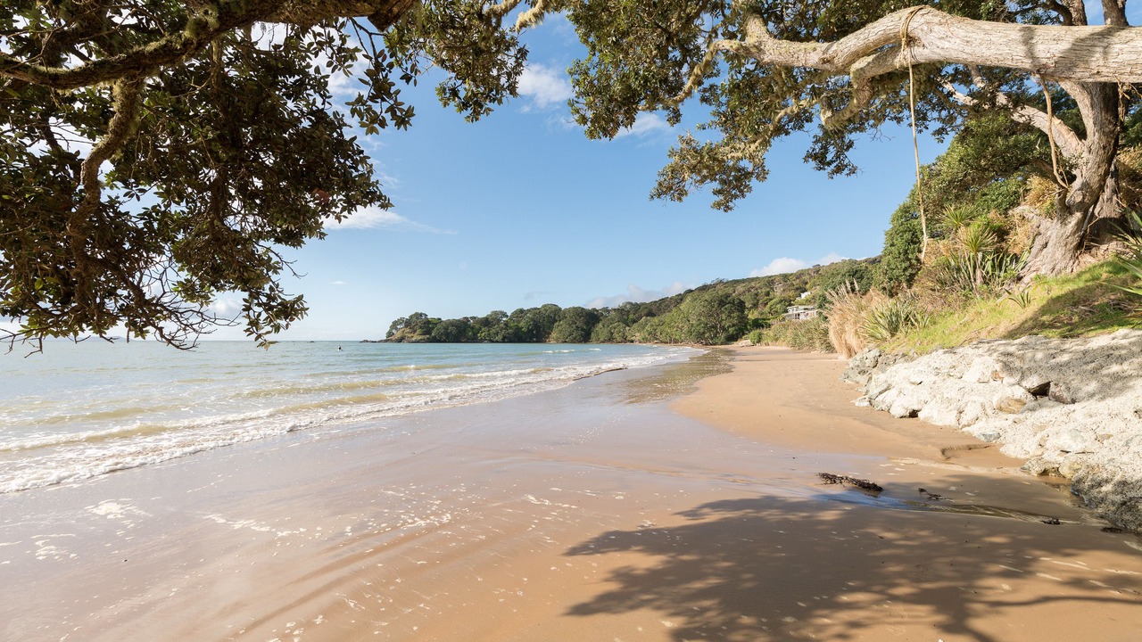 Photo of Others in Coopers Beach