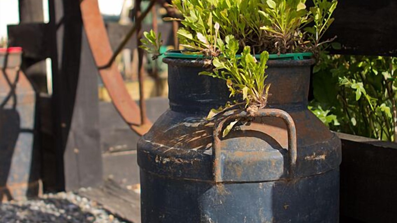 Photo of Outdoor in Leamington