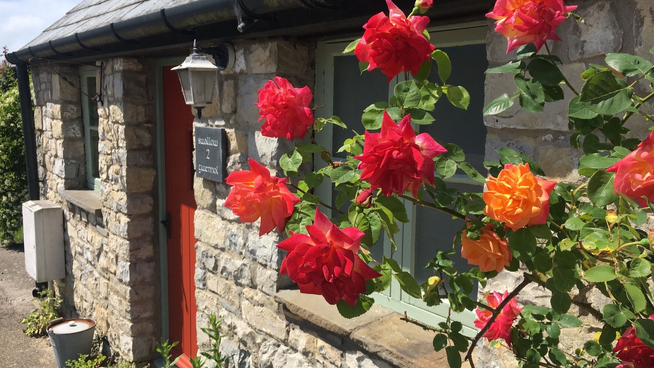 Photo of Outdoor in Cowbridge