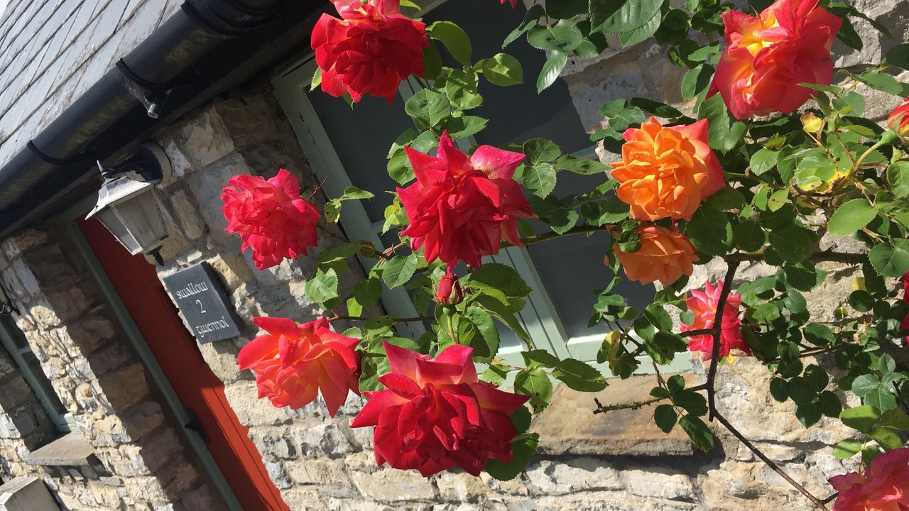 Photo of Outdoor in Cowbridge