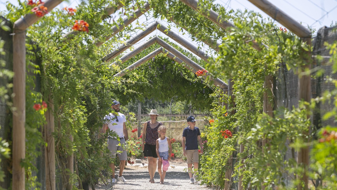 Photo of Outdoor in Dienne