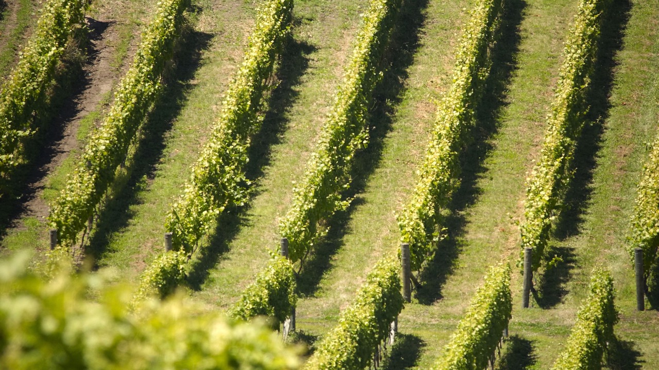 Photo of Outdoor in Haumoana