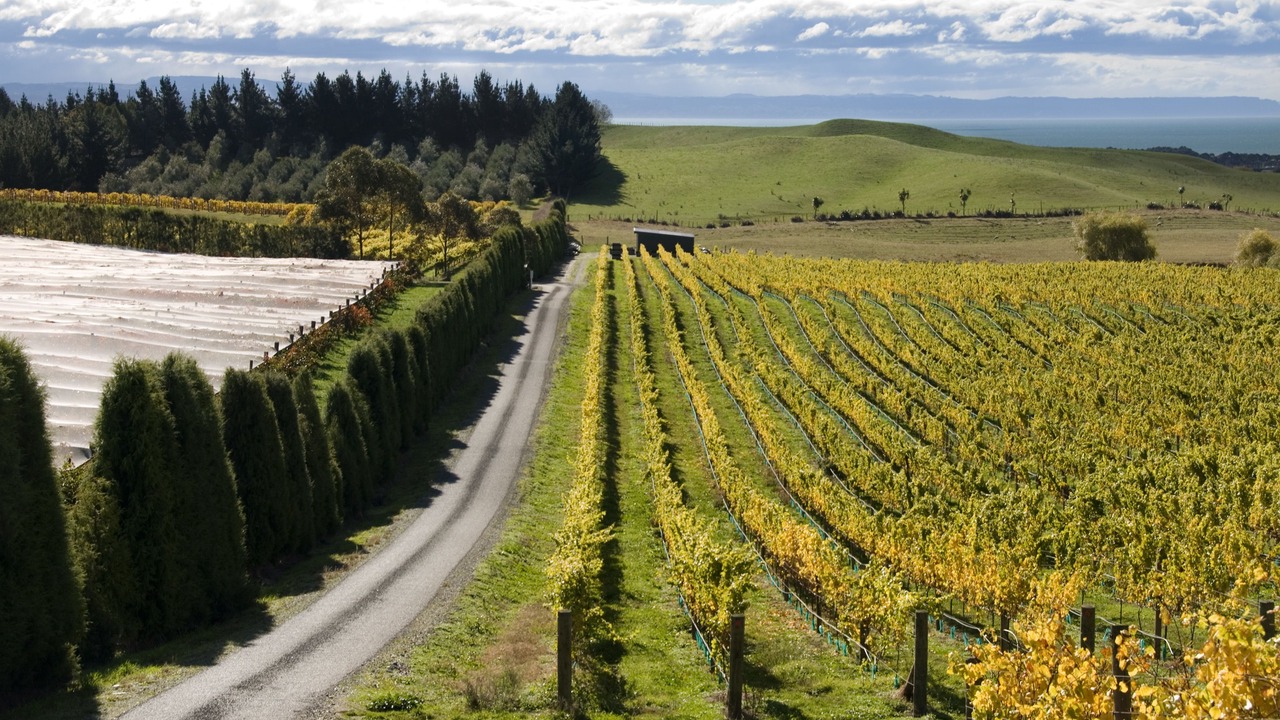 Photo of Outdoor in Haumoana