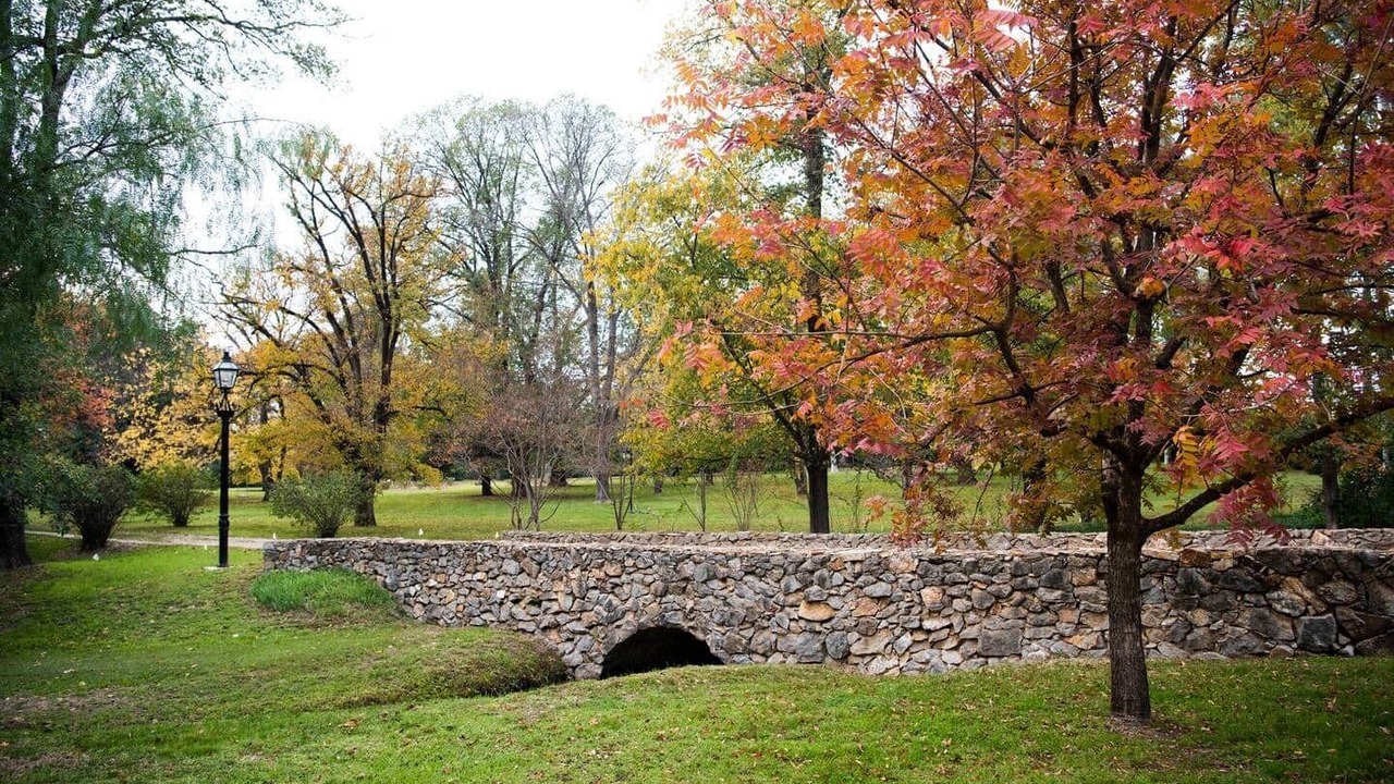 Photo of Outdoor in Central Mudgee