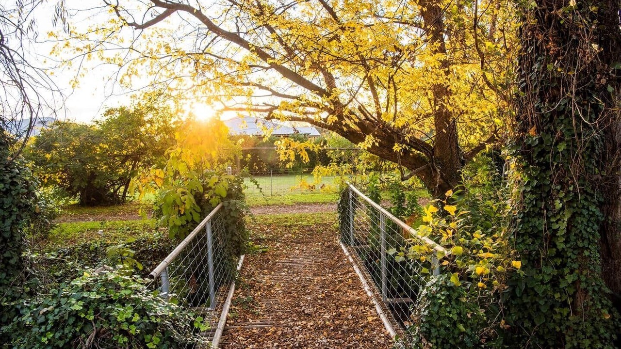 Photo of Outdoor in Central Mudgee