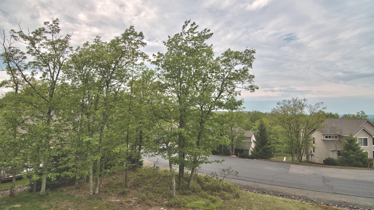 Photo of Outdoor in Tannersville