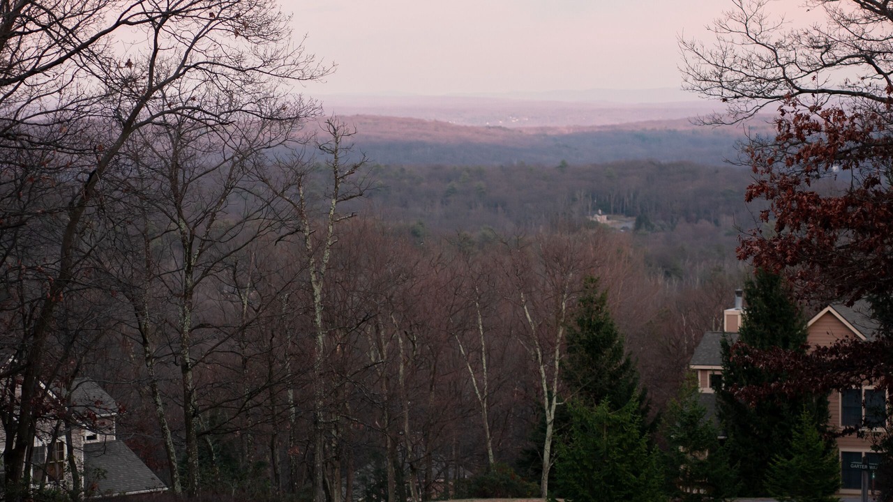 Photo of Others in Tannersville