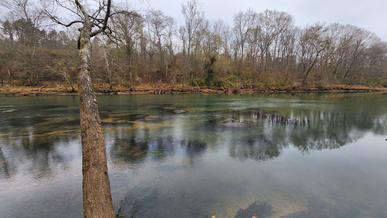 Photo of Others in Heber Springs