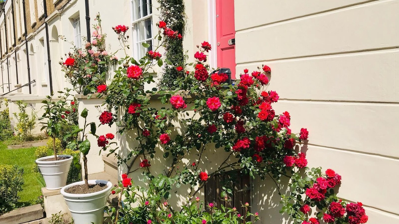 Photo of Outdoor in Camberwell Green