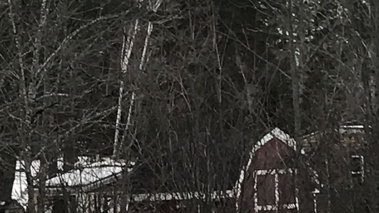 Photo of Outdoor in Onslow