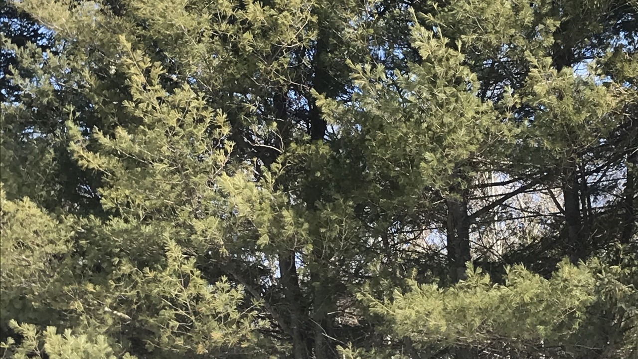 Photo of Others in Onslow