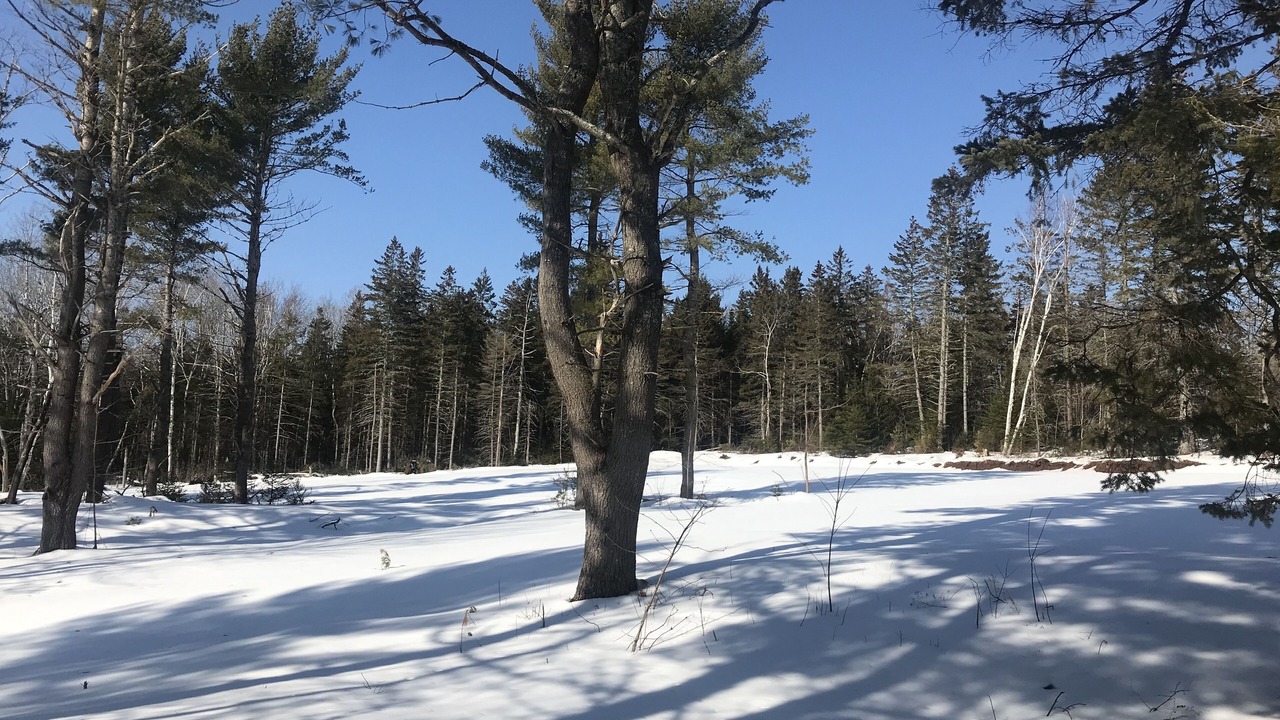 Photo of Others in Onslow