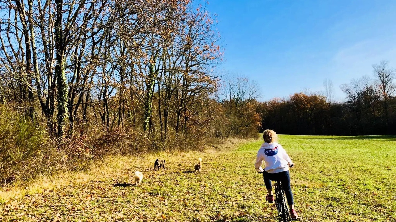 Photo of Others in Estipouy