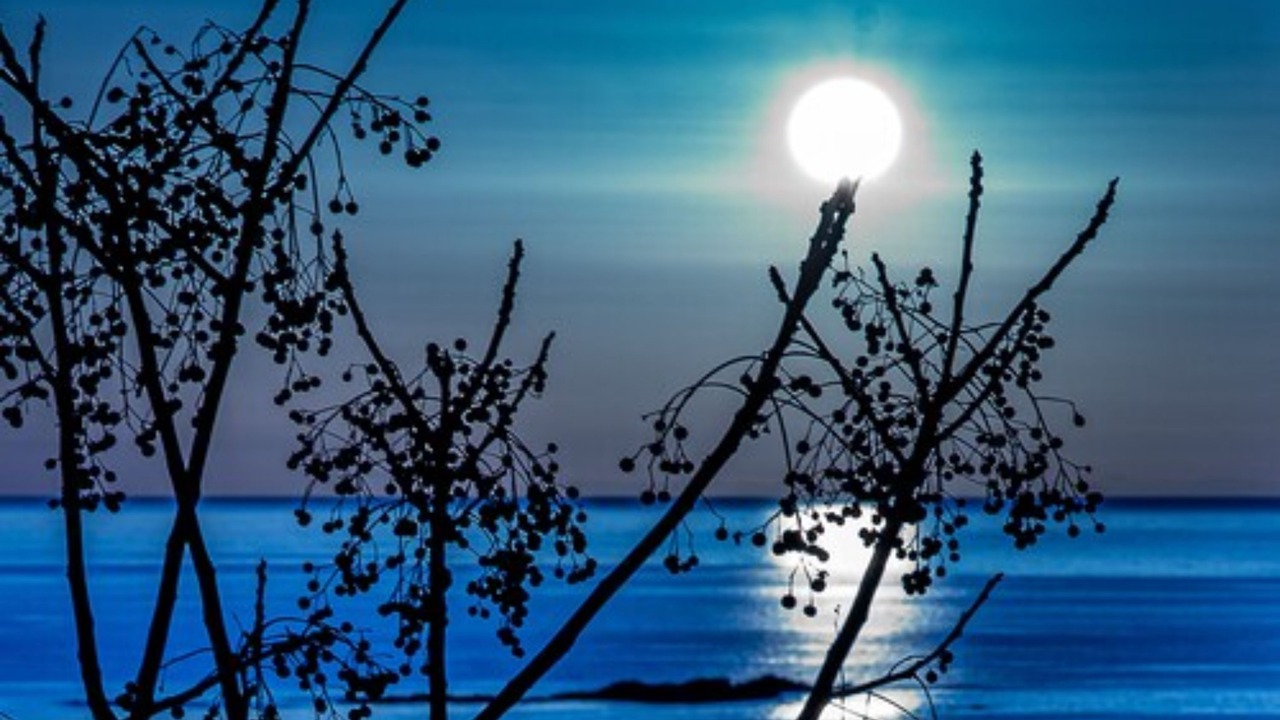 Photo of Outdoor in Casaglione