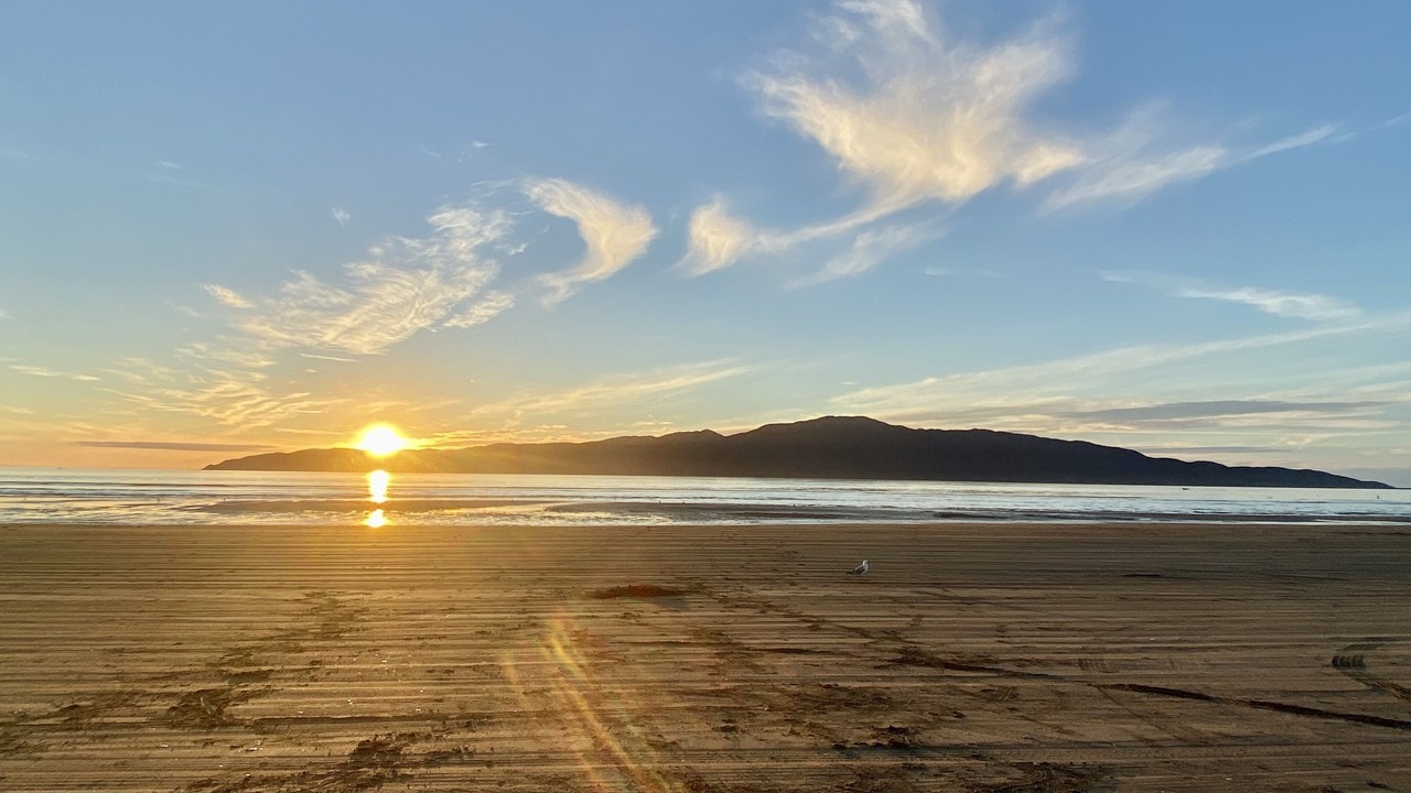 Photo of Others in Paraparaumu Beach