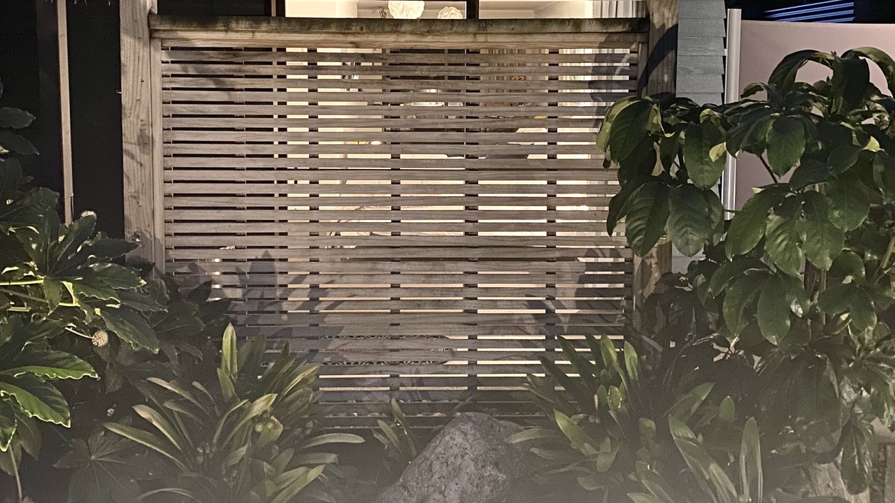 Photo of Outdoor in Paraparaumu Beach