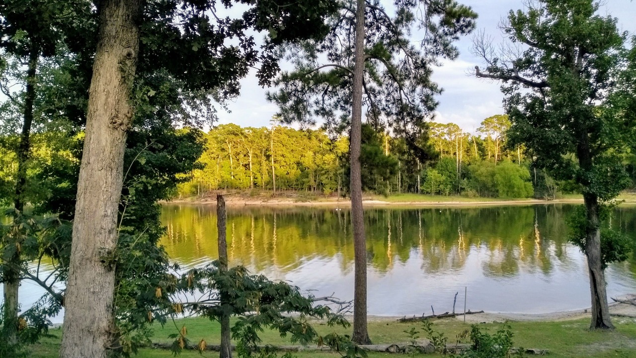 Photo of Outdoor in Zavalla
