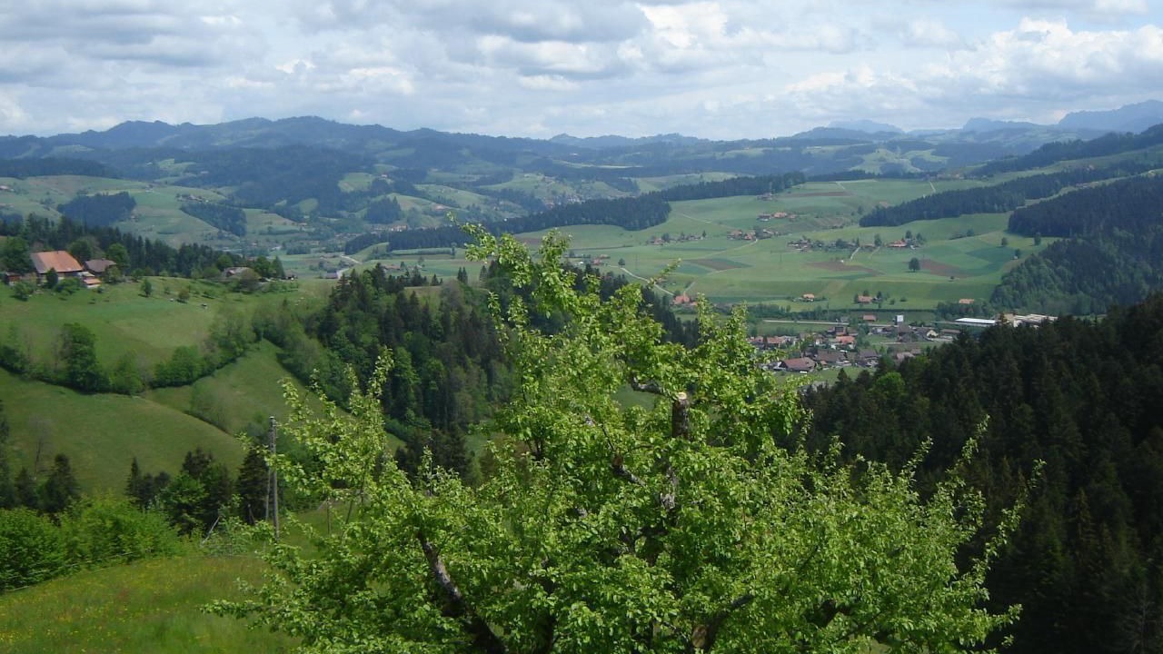 Photo of Others in Signau
