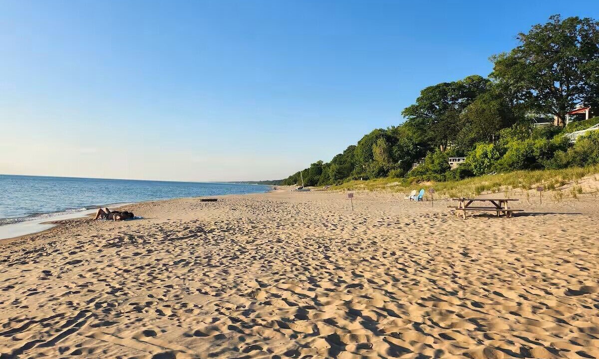 Photo of Others in South Haven