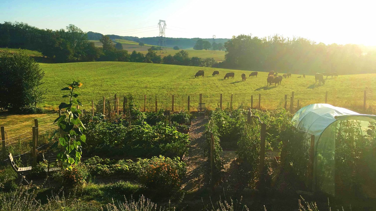 Photo of Outdoor in Saint-Dizier-Leyrenne