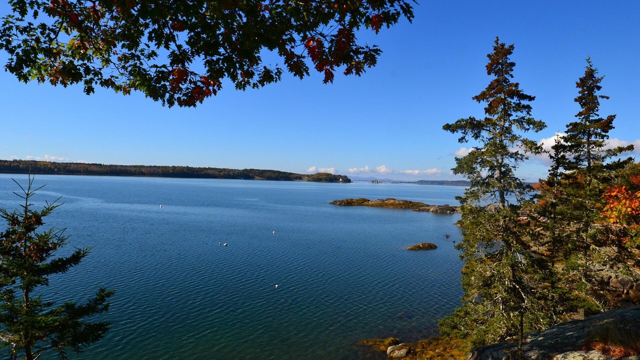 Photo of Others in Herricks