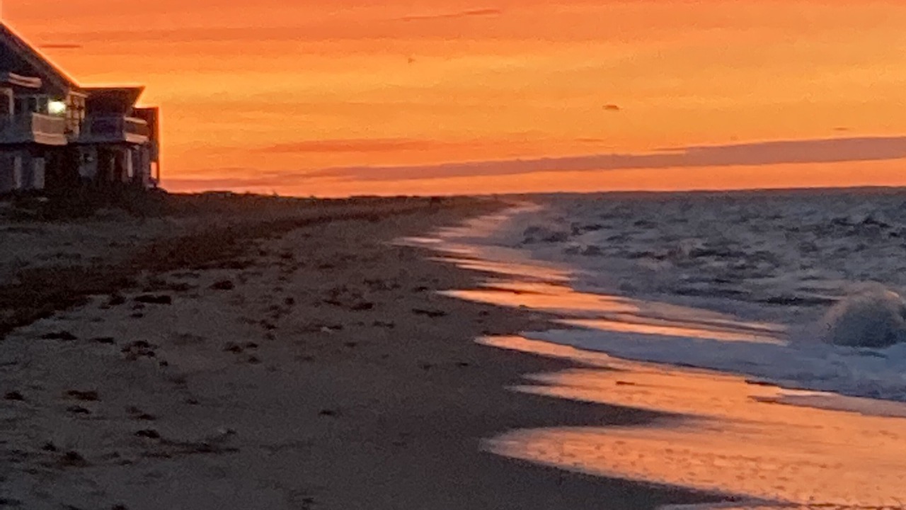 Photo of Others in Prime Hook Beach