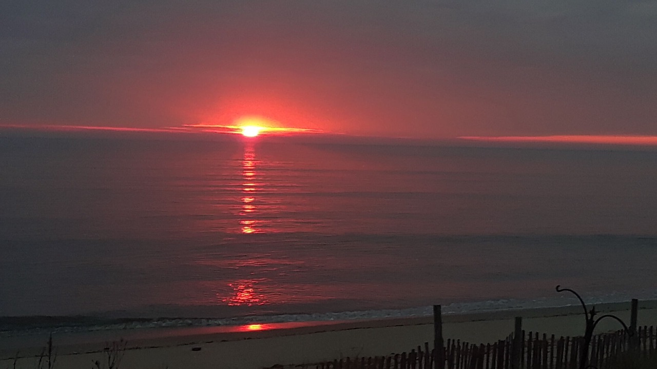 Photo of Others in Prime Hook Beach