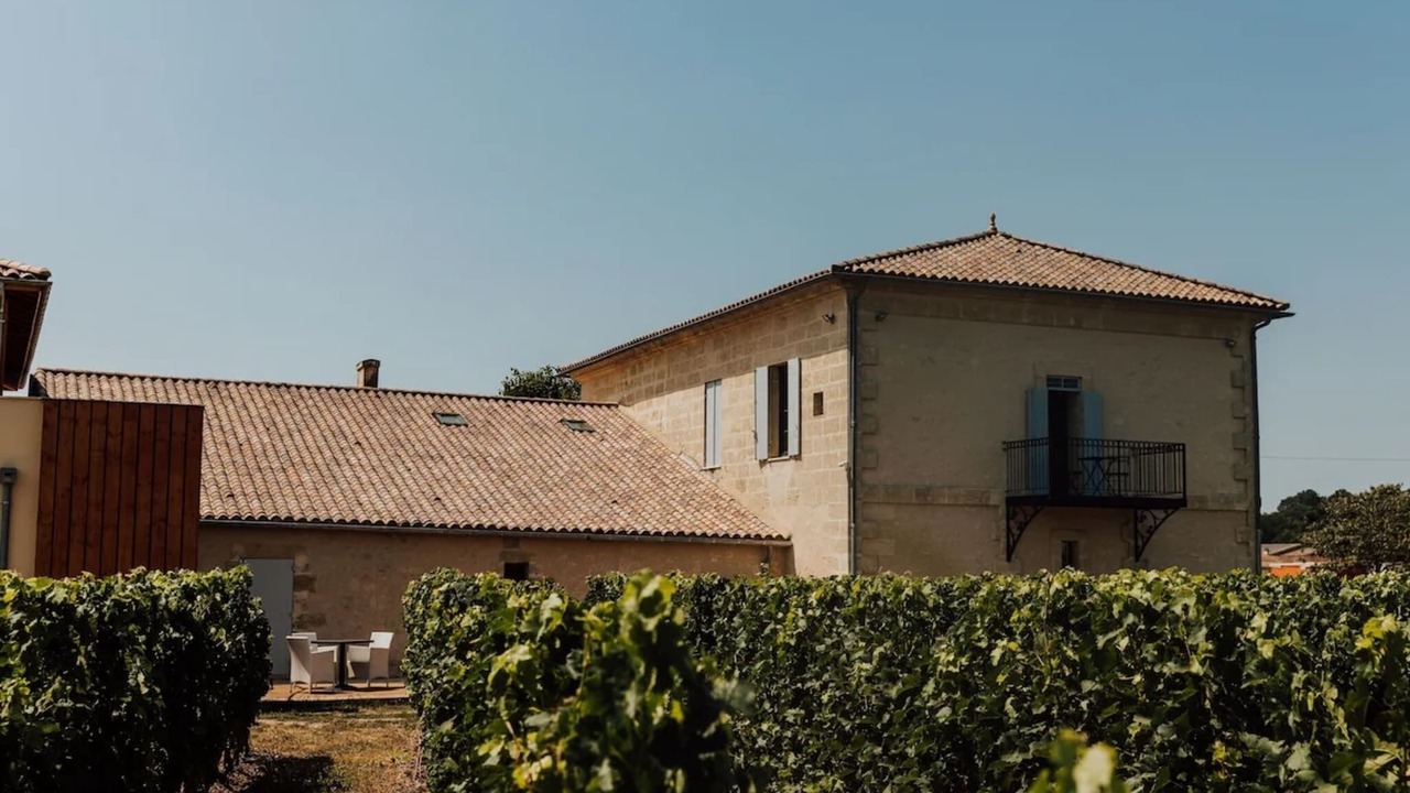 Photo of Others in Robins Bay