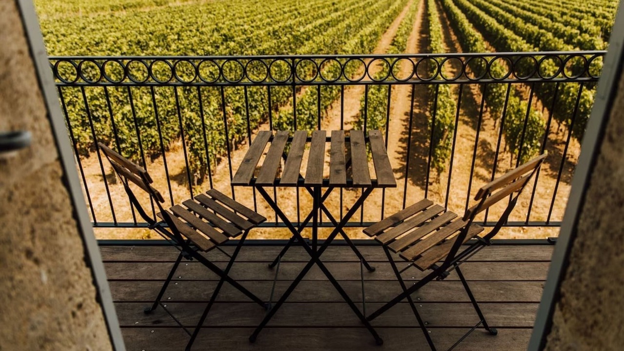 Photo of Others in Robins Bay