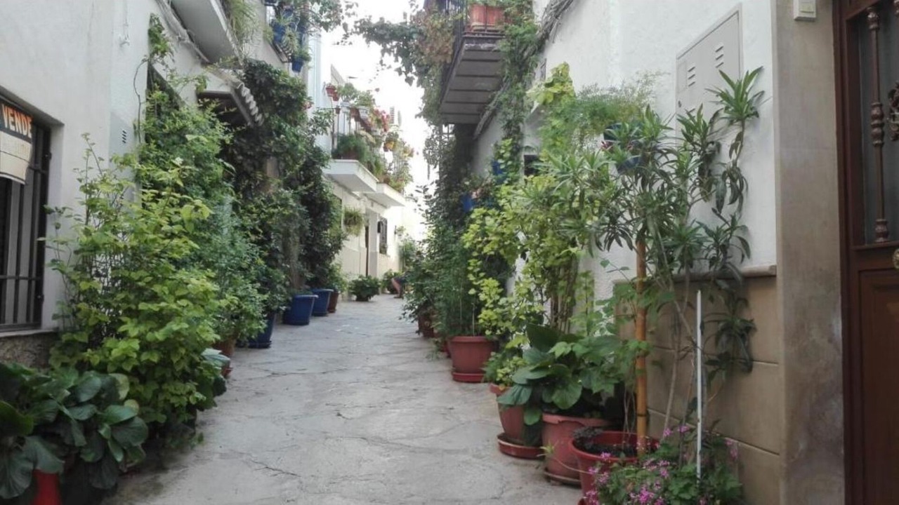 Photo of Outdoor in Quesada
