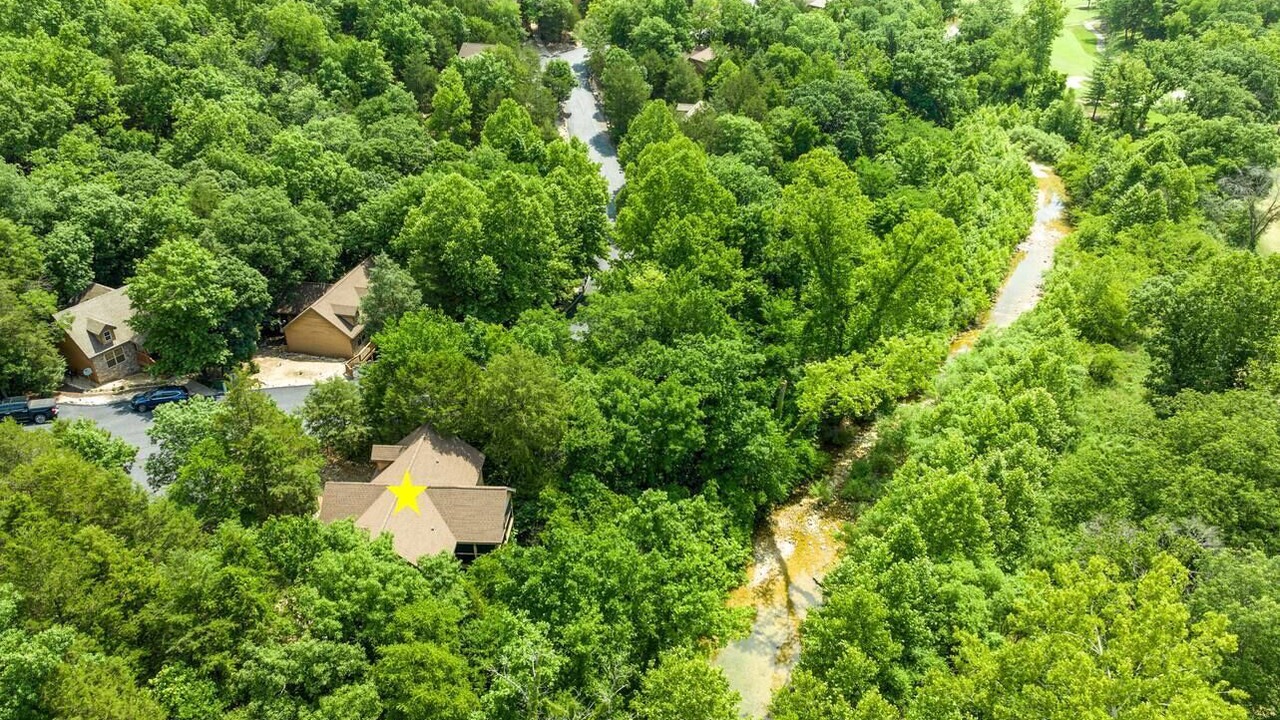 Photo of Outdoor in Branson West