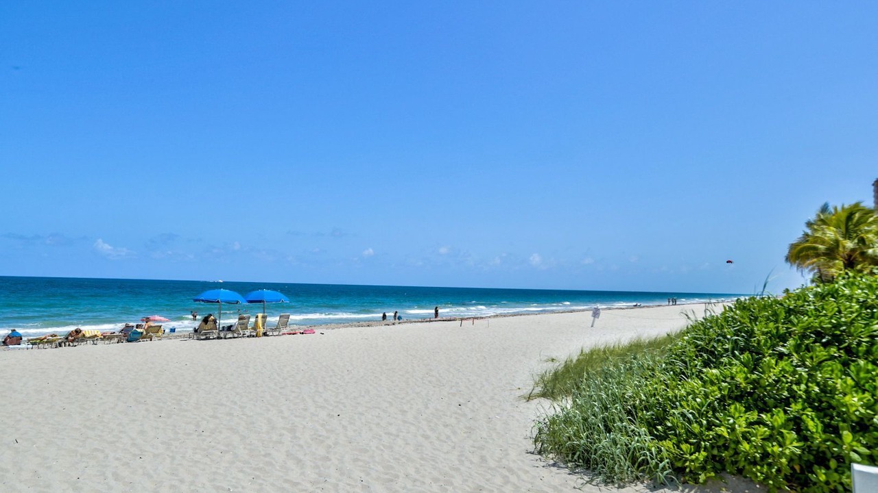 Photo of Others in Galt Mile