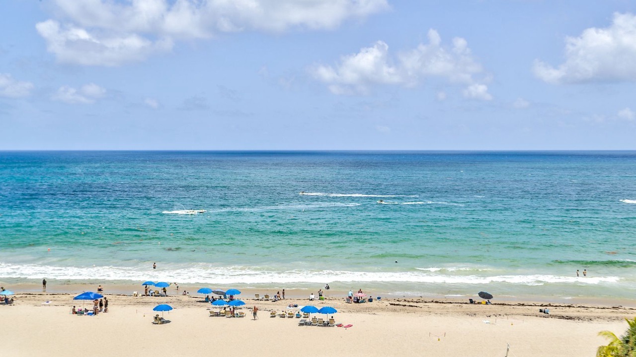 Photo of Others in Galt Mile