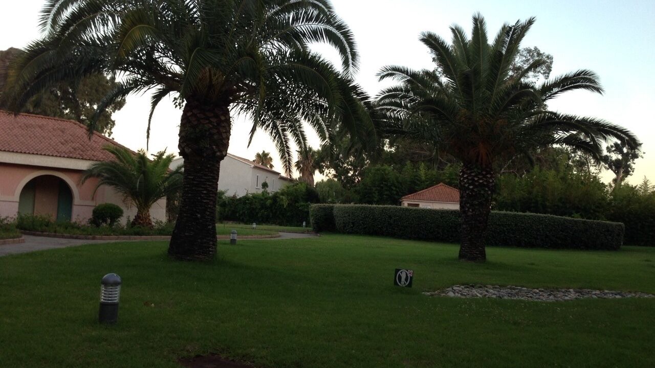 Photo of Outdoor in Moriani-Plage