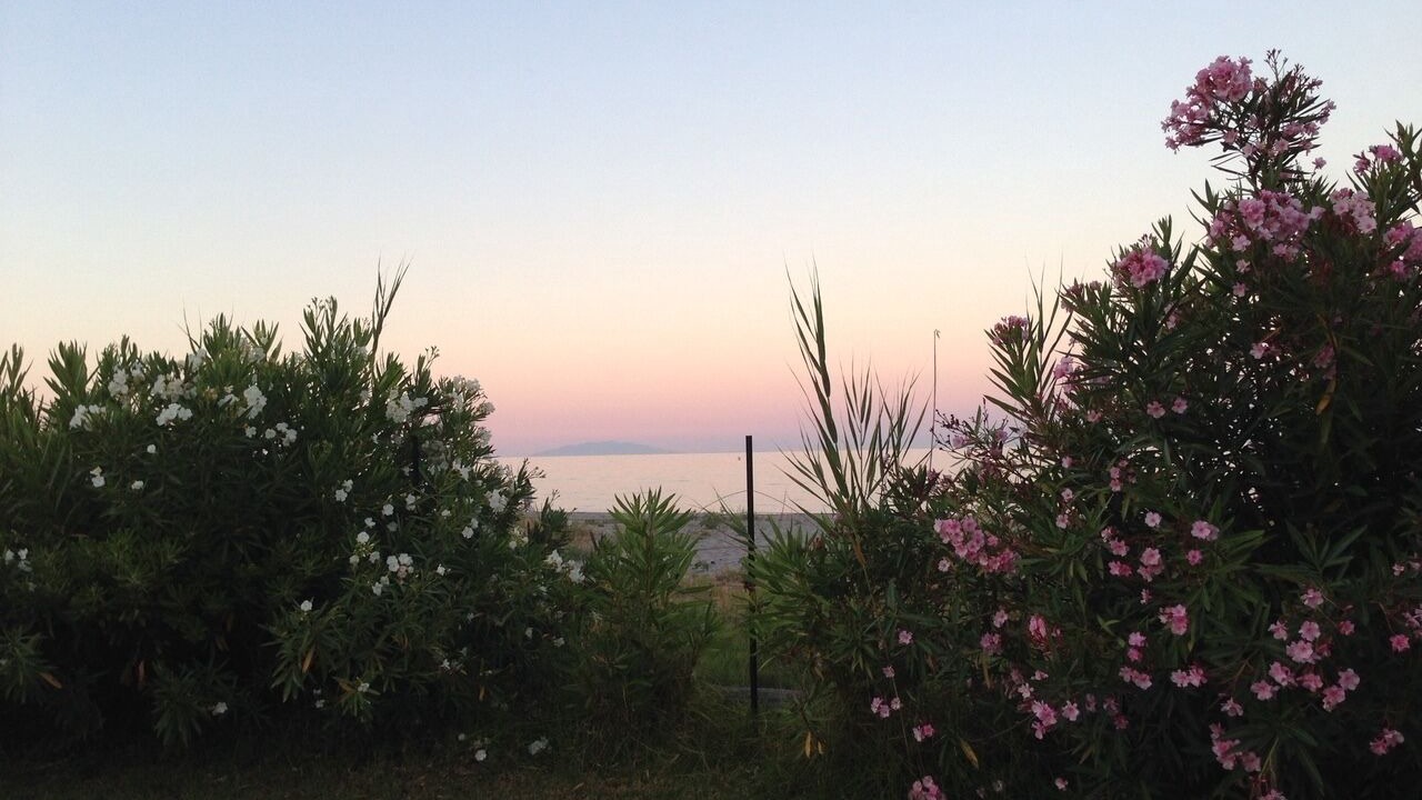 Photo of Outdoor in Moriani-Plage