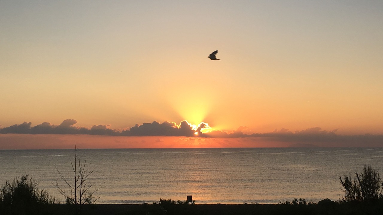 Photo of Others in Moriani-Plage