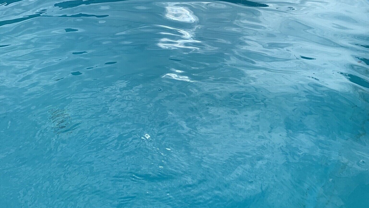 Photo of Outdoor in Westhampton Beach