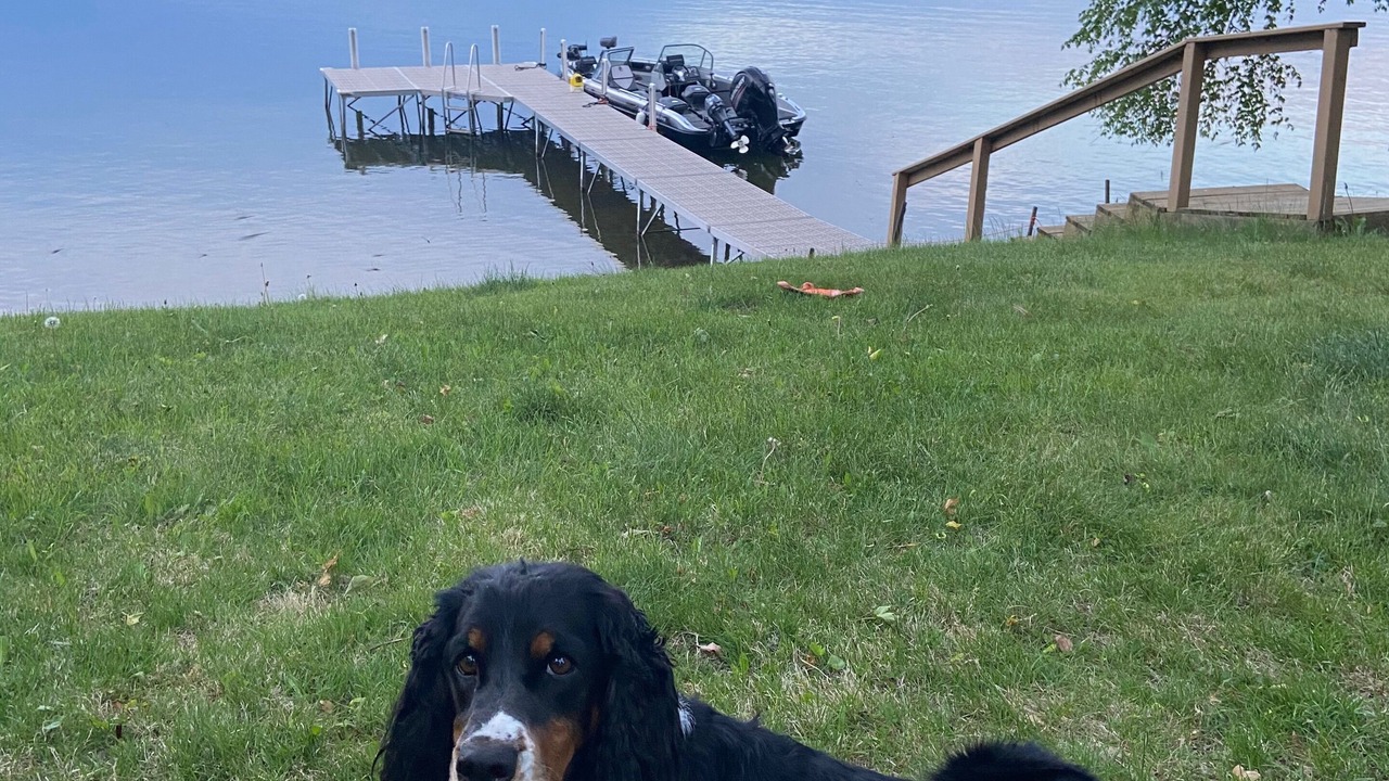 Photo of Outdoor in Walker