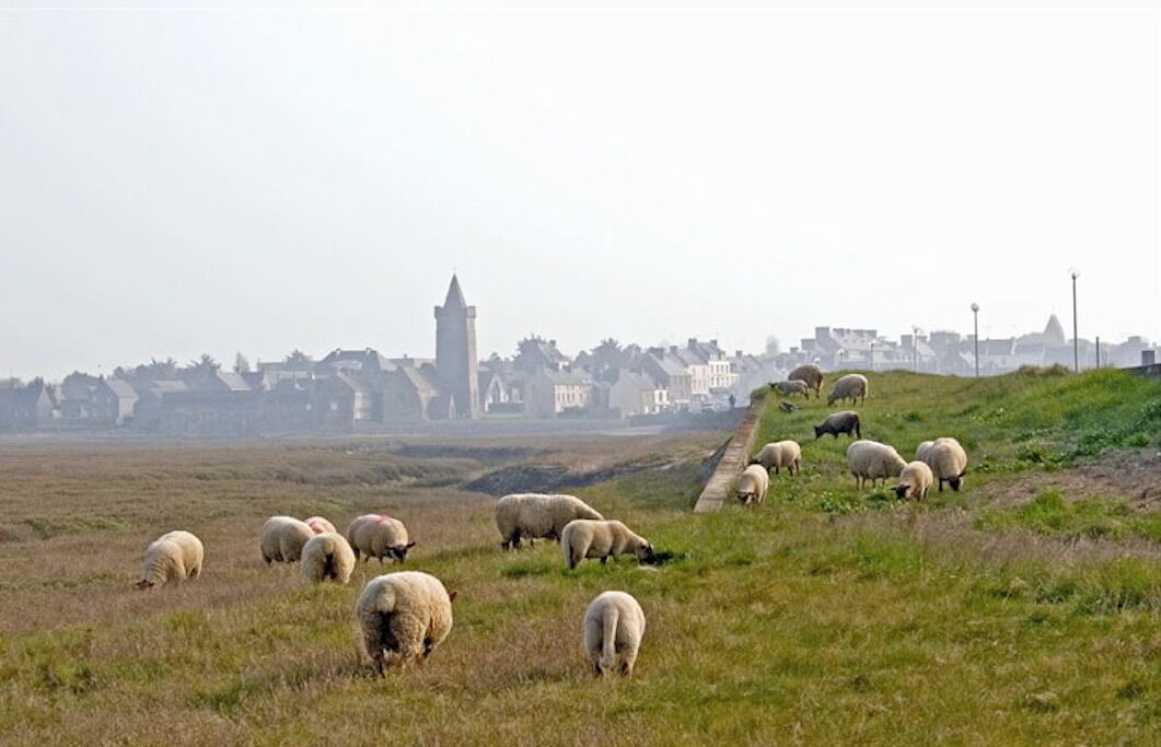 Photo of Others in Portbail