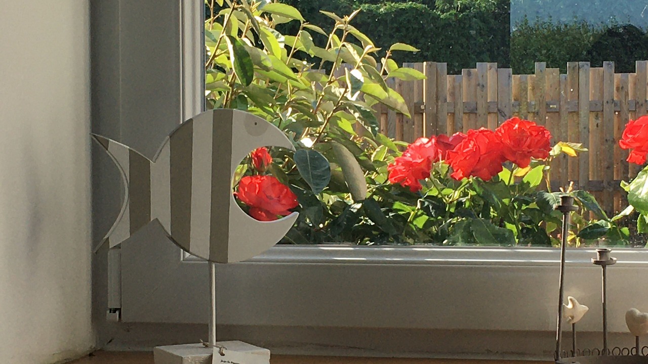 Photo of Others in Portbail